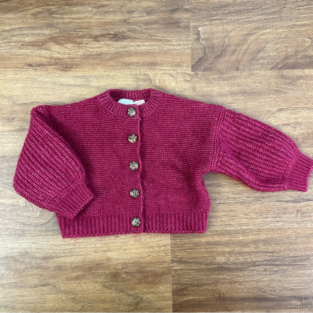 Zara Cardigan